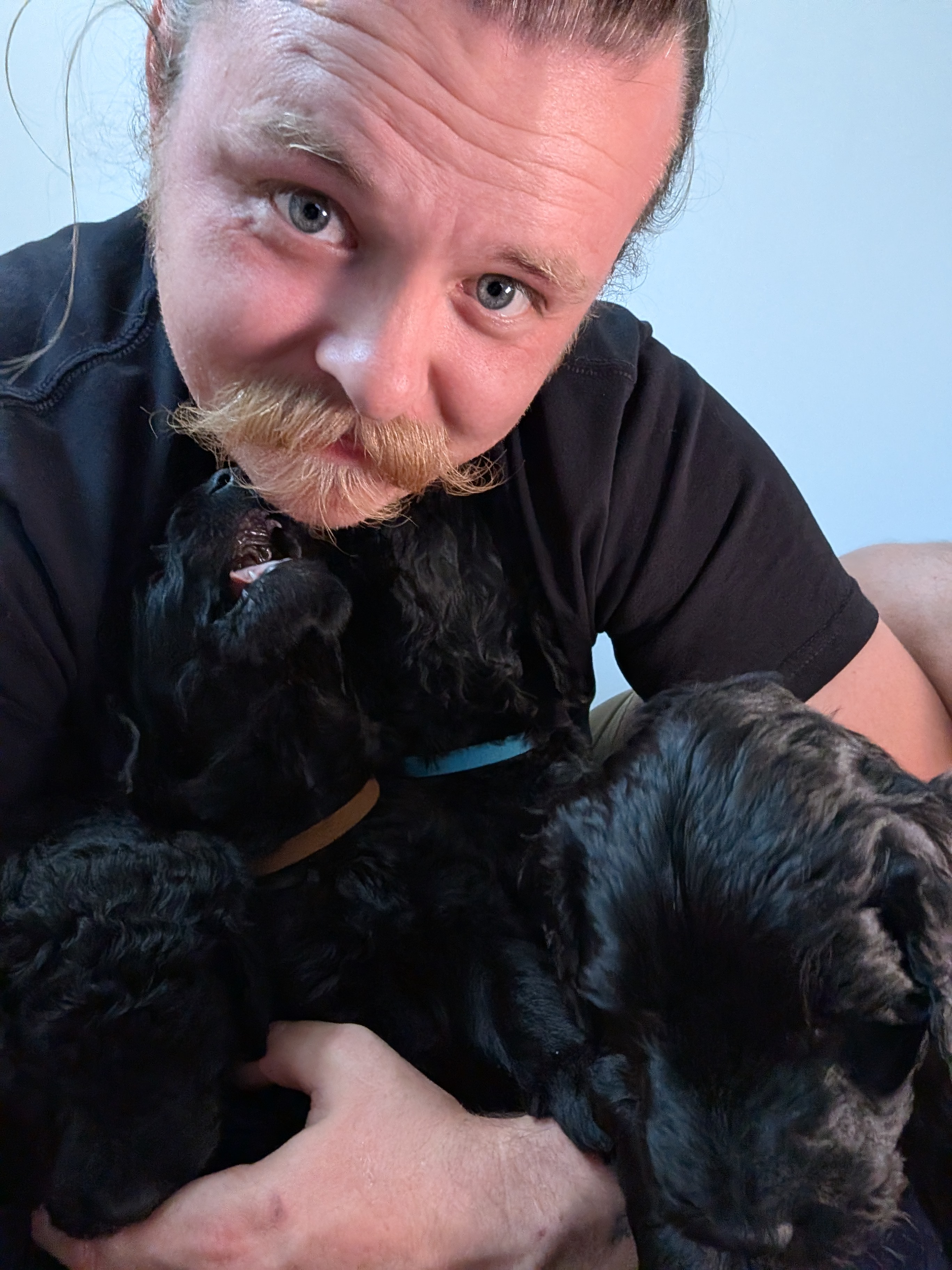 The Litter