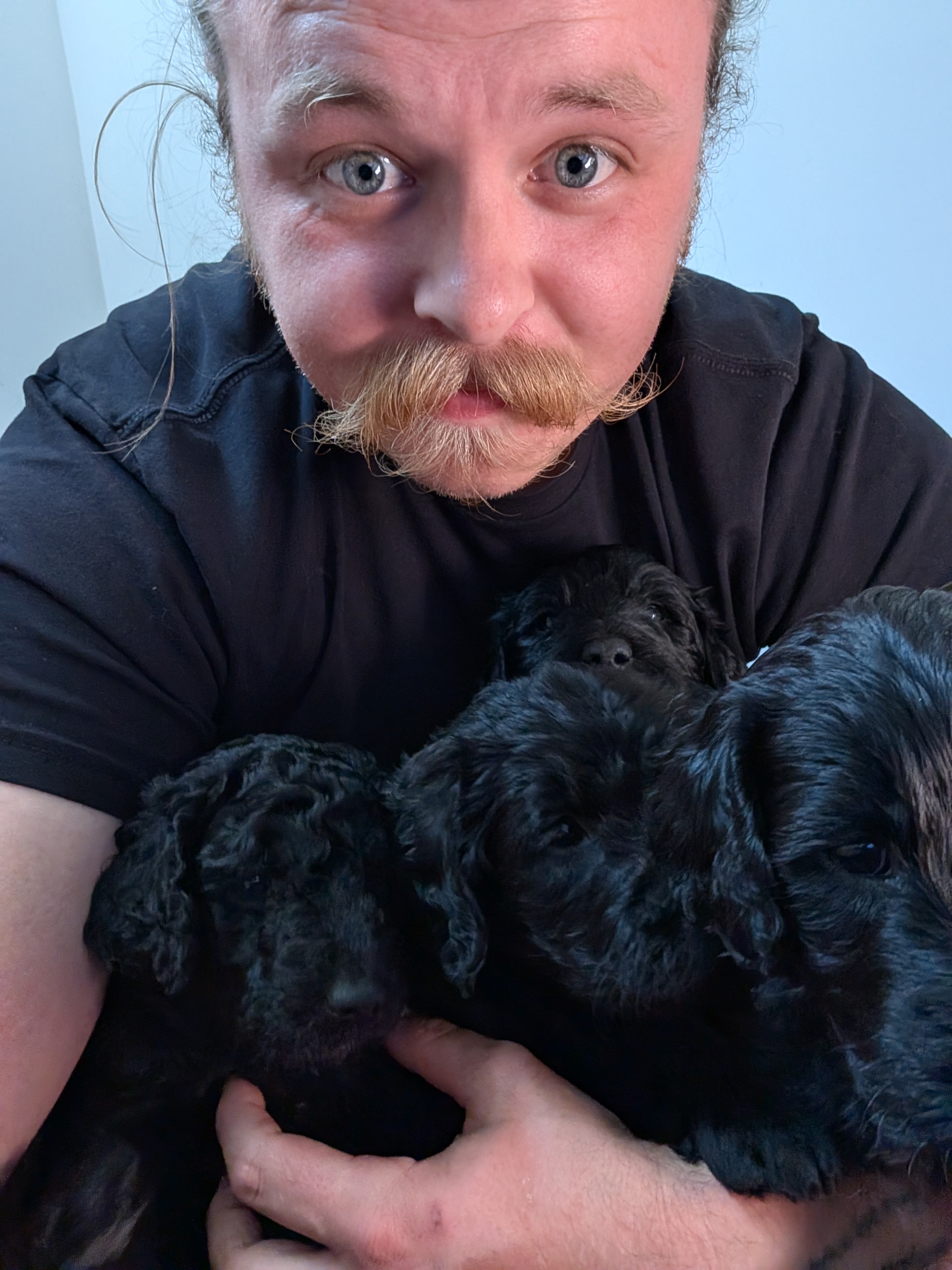 The Boys